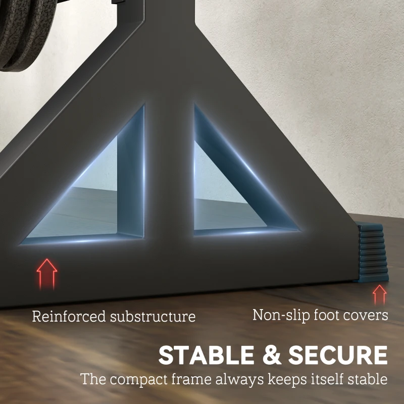 Soozier 1100LBS Capacity Weight Rack, Weight Plate Rack, and Dumbbell Rack for Home Gym Storage