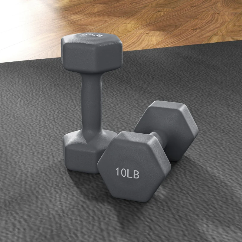 Soozier 2 x 10LBS Hexagonal Dumbbells, Set of 2 Weights with Non-Slip Grip for Home Gym Workout