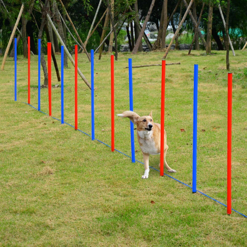 PawHut Dog Agility Equipment Set, Portable Dog Agility training equipment for Outdoor Play Run