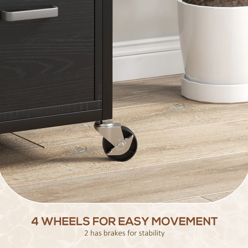 Vinsetto Mobile Filing Cabinet 2 Drawer File Cabinet with Key Adjustable Hanging Bar for Letter A4 and Legal Size Black