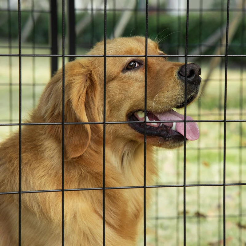 PawHut Outdoor Dog Kennel, Lockable Pet Playpen Crate with Top Cover, Black