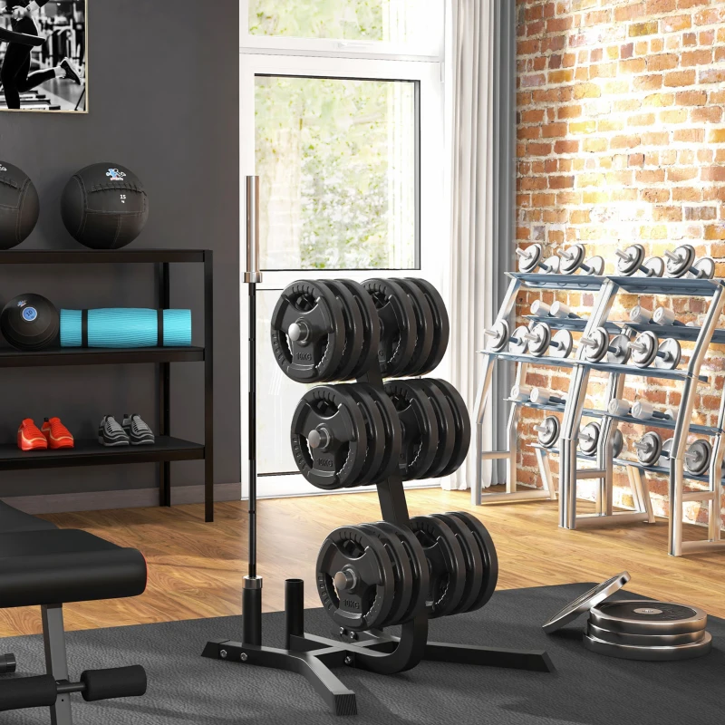 Soozier 2-Inch Weight Plate Rack with Barbell Bar Holders, Olympic Weight Tree, 660 lbs. Capacity, Black