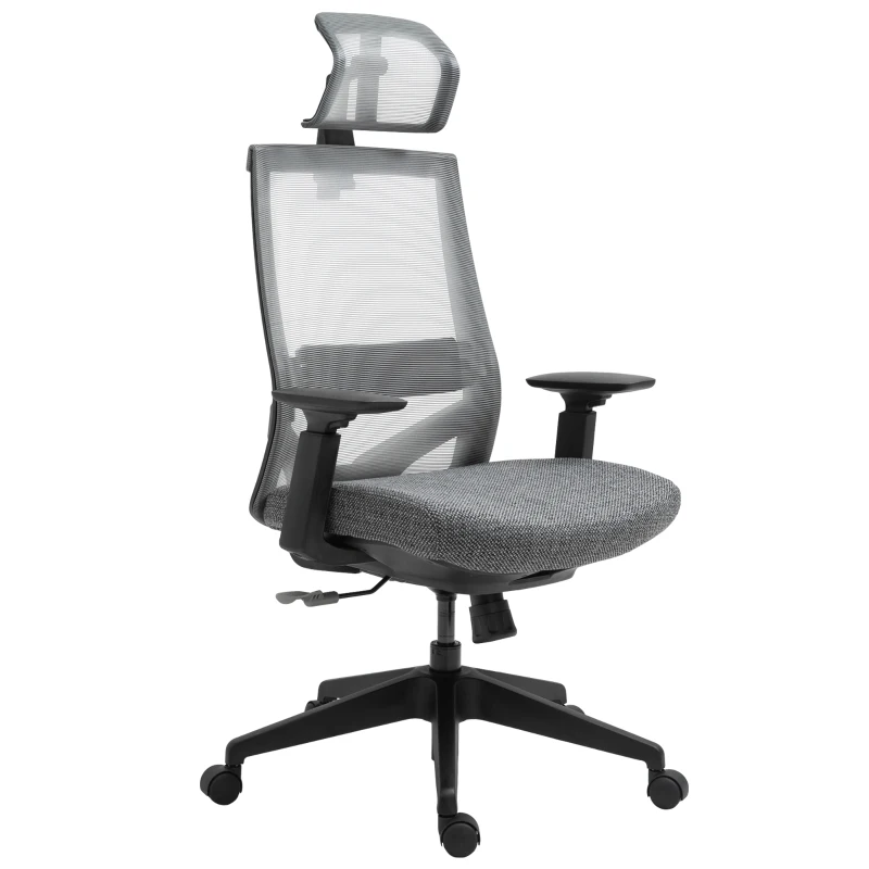 Vinsetto Mesh Fabric Home Office Task Chair with High Back, Adjustable Seat, Recline, Headrest and Lumbar Support, Grey