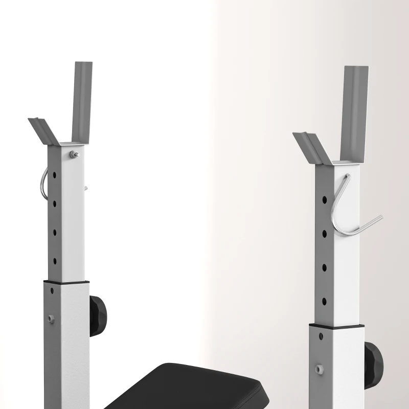 Soozier Bench Press Set Adjustable Weight Bench with Squat Rack, Preacher Curl Pad, Leg Developer and Weight Storage, Grey
