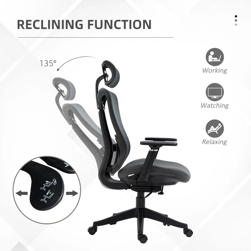 Vinsetto Ergonomic Office Chair with Adjustable Headrest, Lumbar Support, 3D Armrest, Mesh Computer Desk Chair with High Back, Swivel Reclining Seat with Tilt Function, Grey