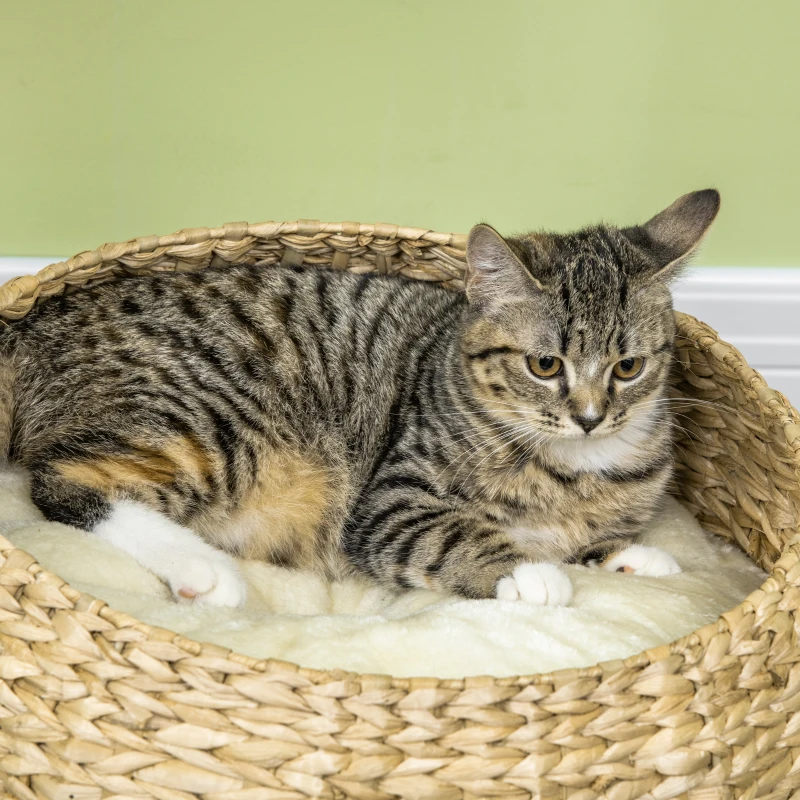 PawHut 28" Cat Tree with Scratching Post, Cat Tower with Double Beds, Beige