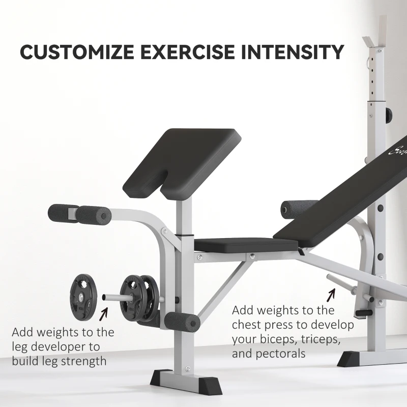 Soozier Bench Press Set Adjustable Weight Bench with Squat Rack, Preacher Curl Pad, Leg Developer and Weight Storage, Grey