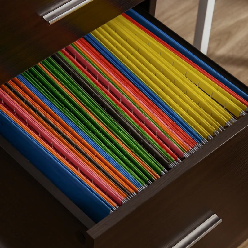 Vinsetto Mobile Filing Cabinet, Vertical File Cabinet with 2 Drawers, Wheels, for Letter or A4 File, Brown