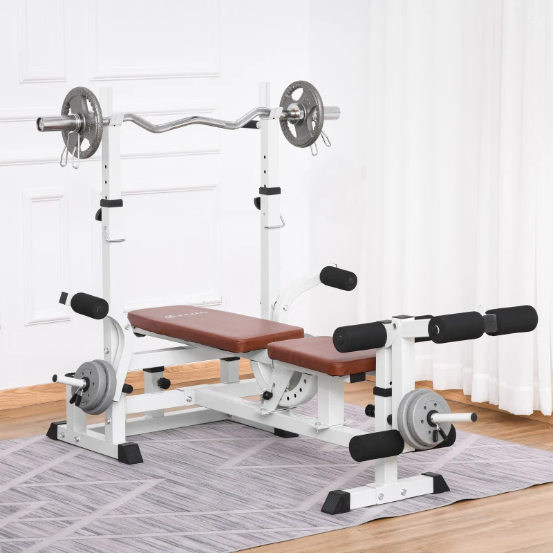 Soozier Multi-Exercise Full-Body Weight Rack with Bench Press, Leg Extension, Chest Fly Resistance Band & Preacher Curl