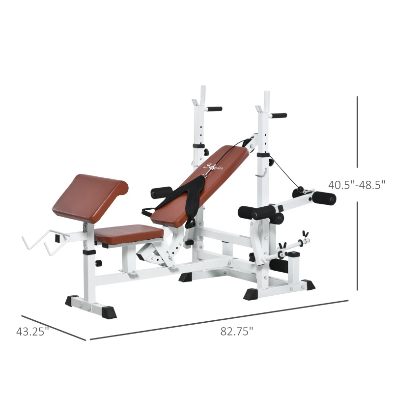 Soozier Multi-Exercise Full-Body Weight Rack with Bench Press, Leg Extension, Chest Fly Resistance Band & Preacher Curl