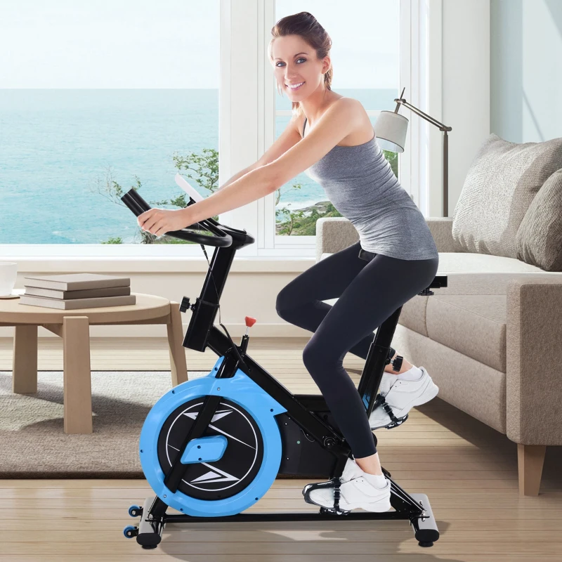 Soozier Stationary Exercise Bike, 13lbs Flywheel Belt Drive Training Bicycle, w/ Adjustable Resistance LCD Monitor