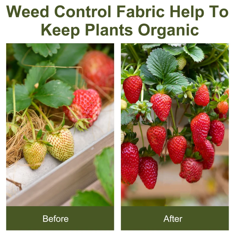 Outsunny 6.6ftx164ft Gardener Premium Weed Barrier 3.5OZ Landscape Fabric Durable & Heavy-Duty Weed Block Gardening Mat