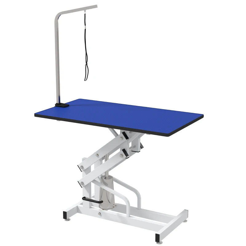 PawHut Pet Grooming Table, Height Adjustable Dog Grooming Table with Arm, Noose and Non-Slip Grooming Table, Blue