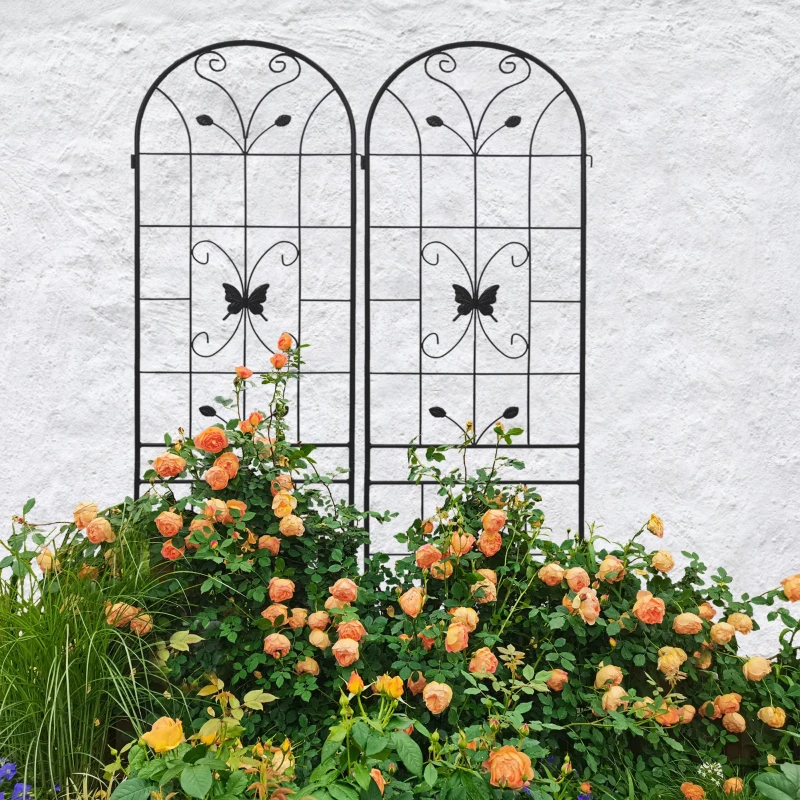 2 Pack Metal Garden Trellis with Butterfly Decoration, for Outdoor Climbing Plant Support, Rustproof, Black