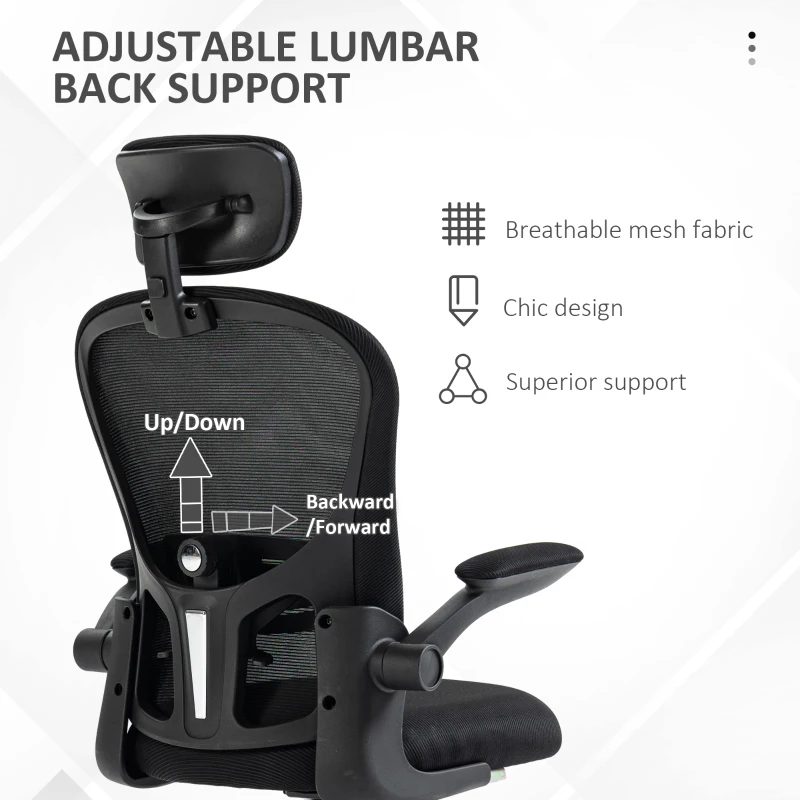 Vinsetto Office Chair, Mesh Computer Desk Chair with Adjustable Headrest, 4D Lumbar Support, Flip-up Arm, Black