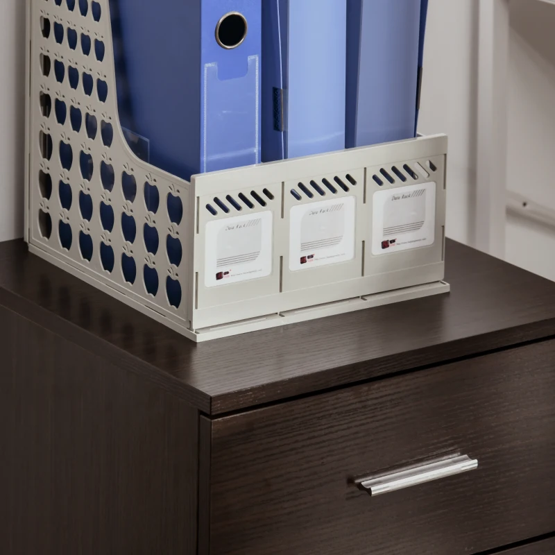 Vinsetto Mobile Filing Cabinet, Vertical File Cabinet with 2 Drawers, Wheels, for Letter or A4 File, Brown