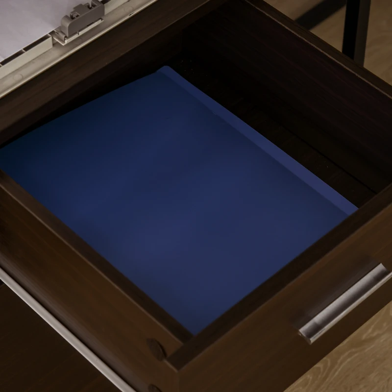 Vinsetto Mobile Filing Cabinet, Vertical File Cabinet with 2 Drawers, Wheels, for Letter or A4 File, Brown