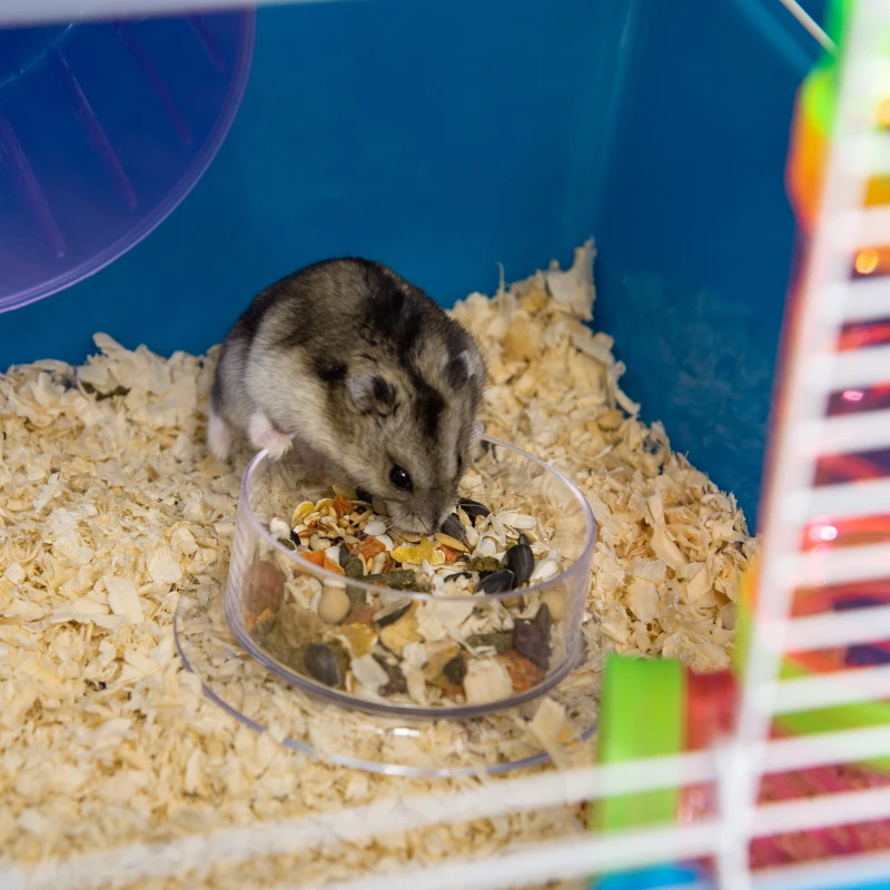 PawHut 23" 5-Tier Hamster Cage with Wheel and Water Bottle, Blue