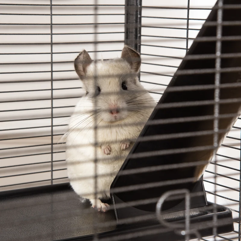PawHut Metal Small Animal Cage Rolling Big Ferret Cage, Chinchilla Cage, Sugar Glider Cage, with Hammock & 4 Tiers, Removable Tray, Gray
