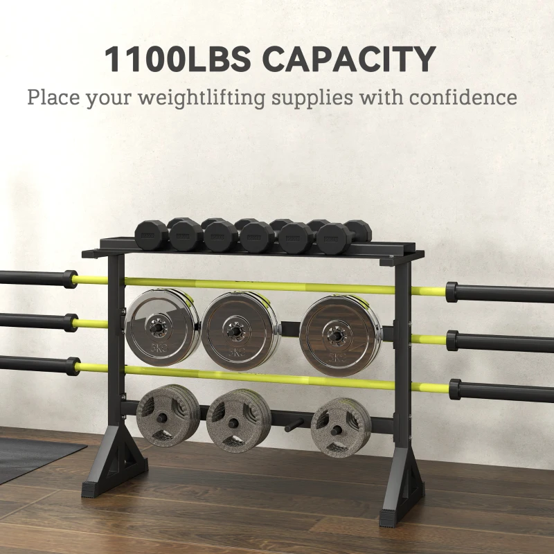 Soozier 1100LBS Capacity Weight Rack, Weight Plate Rack, and Dumbbell Rack for Home Gym Storage
