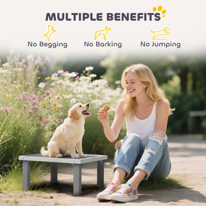 PawHut Wooden Dog Training Place Board, Dog Training Platform with Ladder, Pet Agility System for Indoor Outdoor, Gray