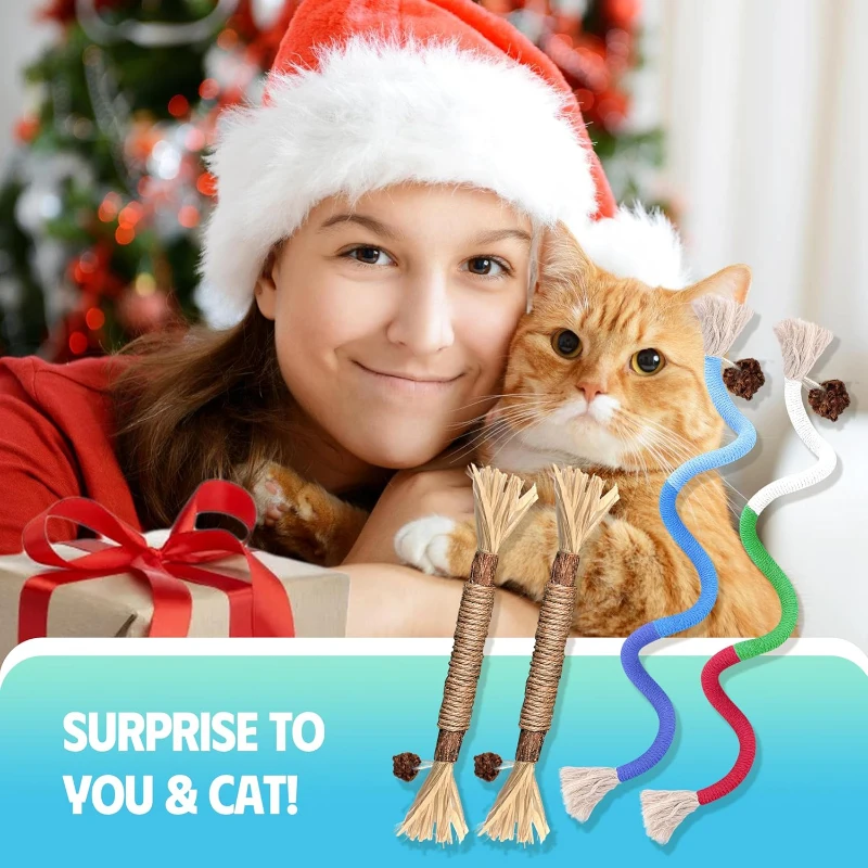 4-Piece Interactive Catnip Toys with Refillable Natural Catnip Bag, Cat Toys Chew Rope and Silvervine Sticks for Teeth Cleaning, Multicolor