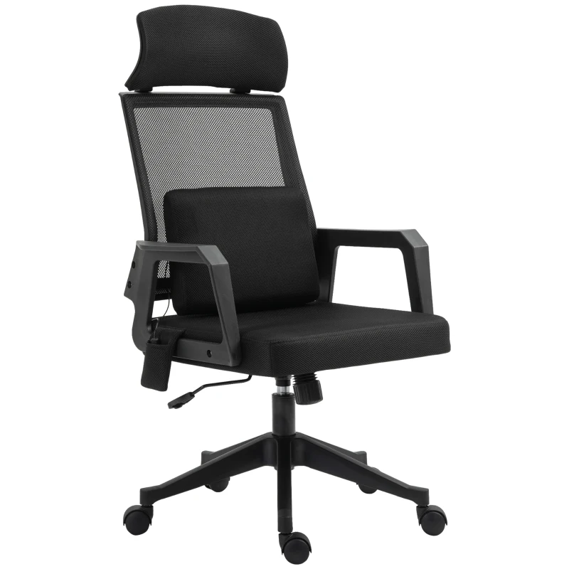 Vinsetto Office Chair High Back Mesh Desk Chair with 2-Point Vibration Massage Lumbar Support Pillow, Headrest, Ergonomic Swivel Back