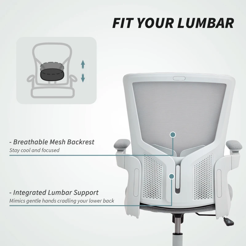 HOMCOM Ergonomic Office Chair, Swivel Desk Chair with Adjustable Lumbar Support and Height, Flip-up Armrests, Wheels, Grey