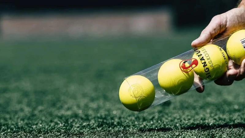 Signature Lacrosse Ball Set - Available in 2, 4, 8, 12, and 120 Packs - Odor-Free Therapy Balls for Myofascial Release, Back Rolling & Muscle Pain Relief