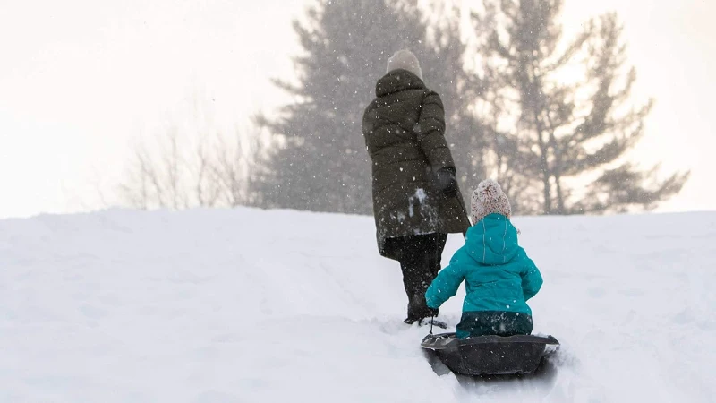 Pelican NOMAD 40 4-Season Sled — RAM-X Heavy-Duty Toboggan, 44 L Capacity (Up to 90 lb)