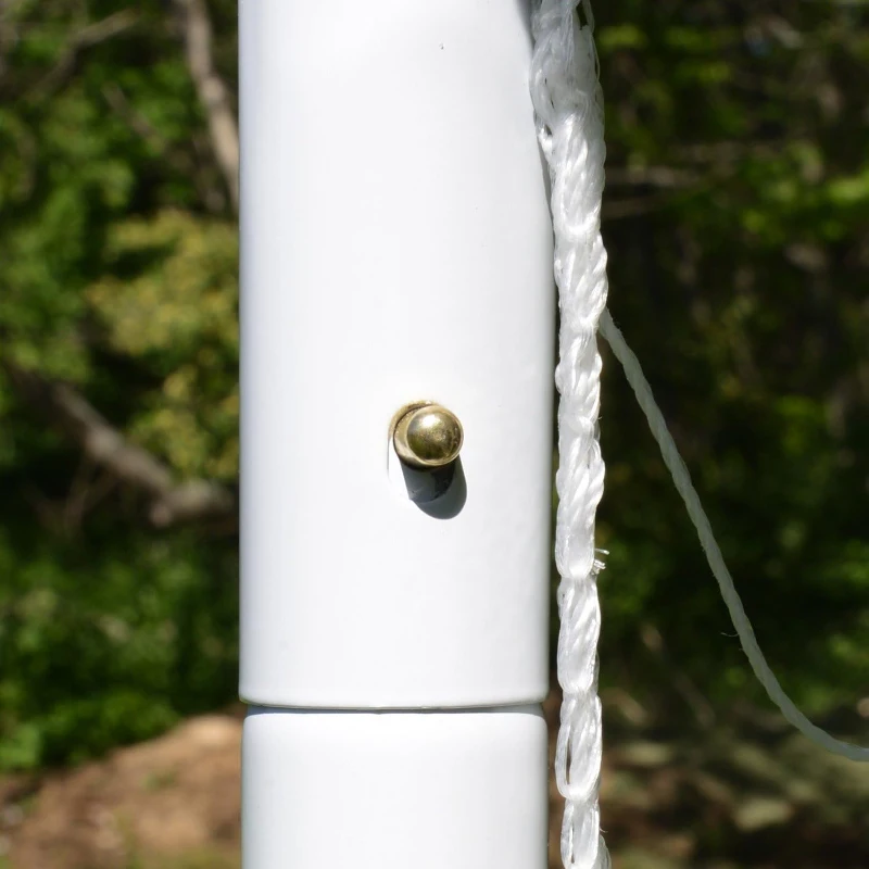 Franklin Sports Competition Youth Steel Soccer Goal – 6' x 4' Portable Backyard Net with Stakes – Adult & Youth Friendly, Multiple Colors