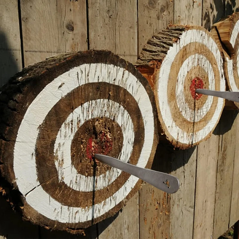 The Beak 6-Pack Throwing Spikes Set — 0.236"" Thick Premium Stainless Steel with Sheath for Beginners and Pros