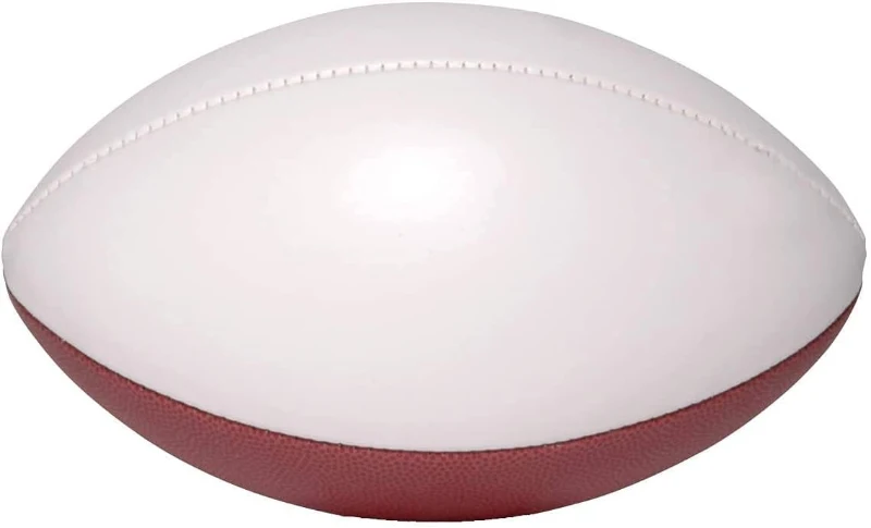 Autograph Blank Full-Regulation Football - 12"" Display Ball, Official Size 9 with Two White Signing Panels