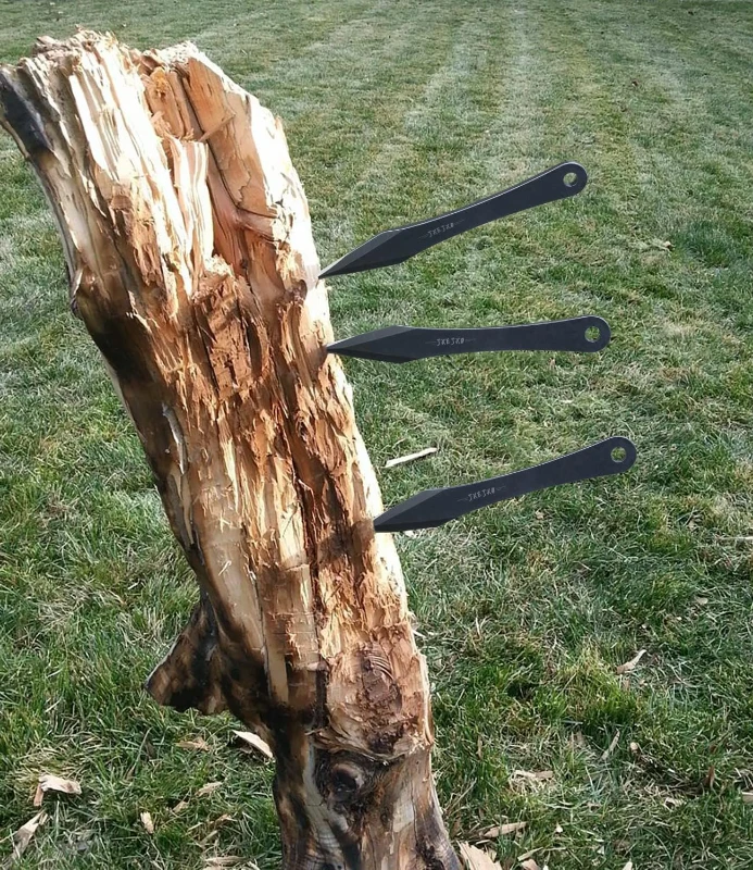 JXE JXO 9.4-inch Stainless Steel No-Spin Throwing Spikes Set with Nylon Belt Sheath – Solid Full-Tang 420HC