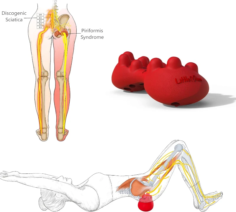 Back Trigger Point Massager - Silicone Glute & Back Myofascial Release Tool for Piriformis Syndrome, Knot Release & Back Strain Relief