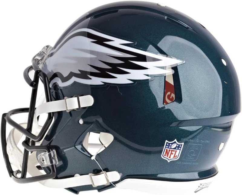 Riddell Men's NFL Speed Authentic Football Helmet