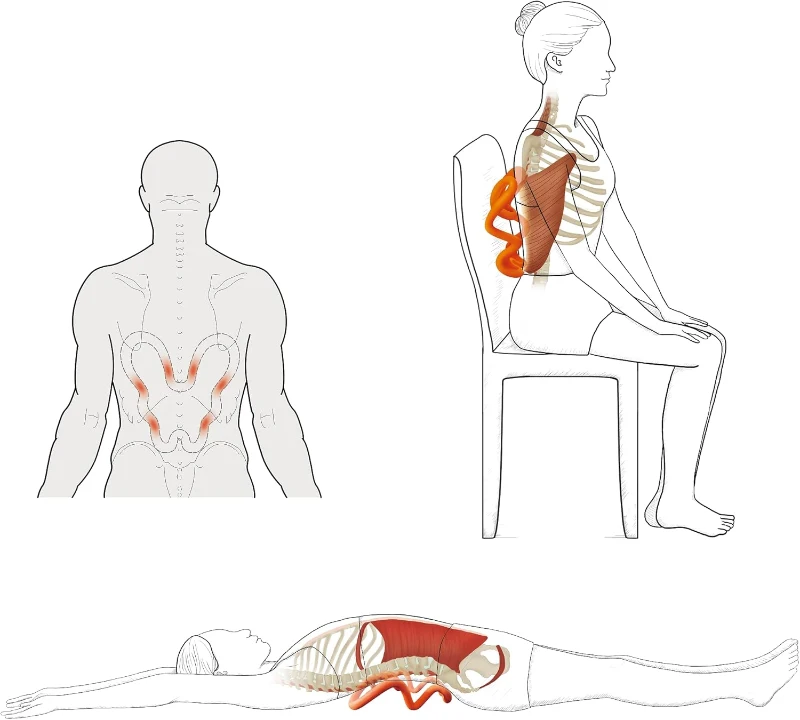 Shoulder Deep Tissue Massager - Myofascial Trigger Point Tool for Scapular, Upper Back, Psoas, Levator Scapulae, Pelvis & Hip Flexor Pain