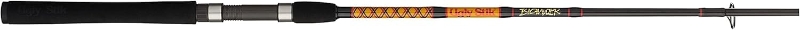 Ugly Stik Bigwater Spinning Rod