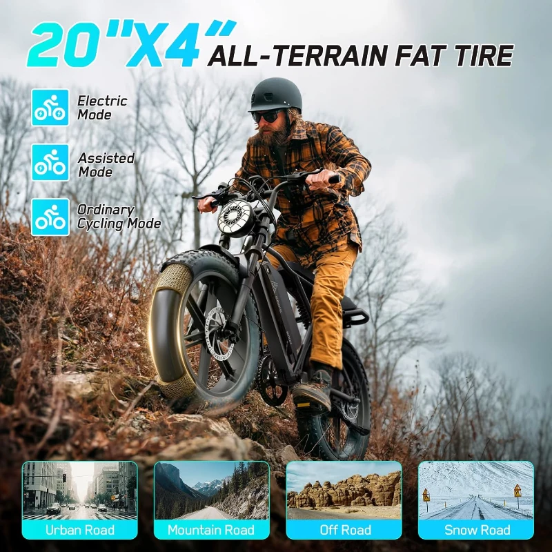 TST 20-inch Electric Dirt Bike for Adults — 750W/1500W Peak Motor, 28 MPH, 48V 15Ah/25Ah Removable Battery, Fat Tires, Hydraulic Suspension, 7-Speed