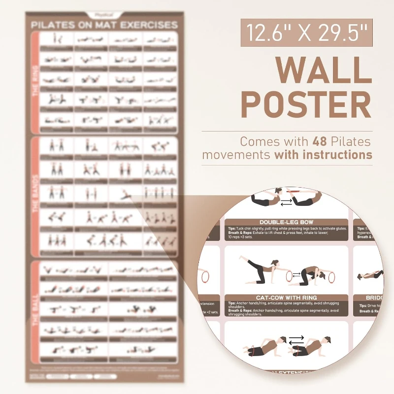 15"" Pilates Ring Kit with Core Ball, 3 Resistance Loops & 2 Flex Bands — Home Mat Pilates Essentials with Large Exercise Poster