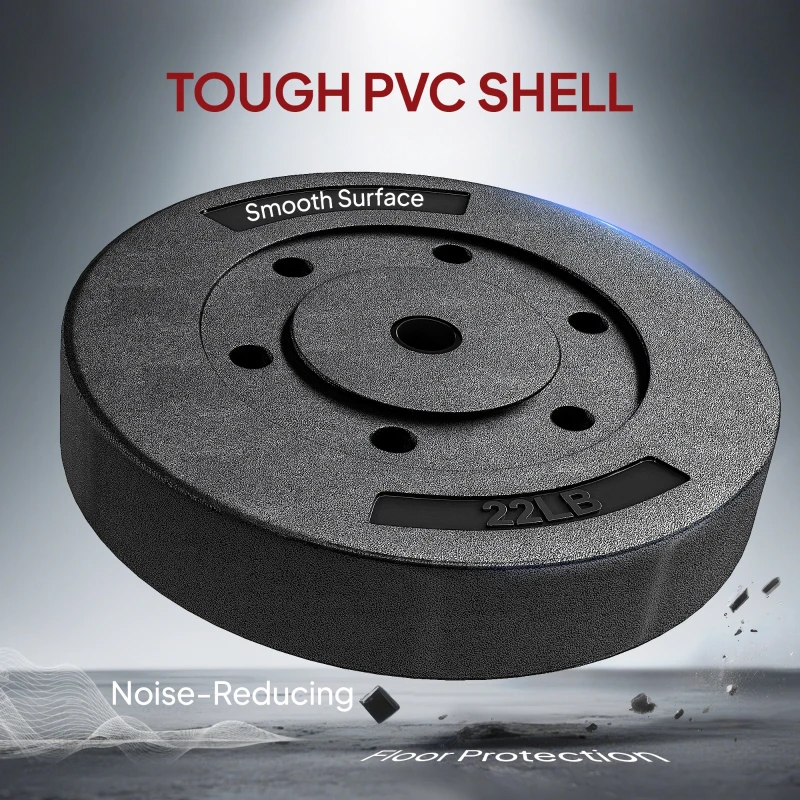 Soozier Weight Plates Set of 2, 1-Inch Barbell Weight Set for Home Gym Strength Training and Weightlifting, 2 x 22 lbs