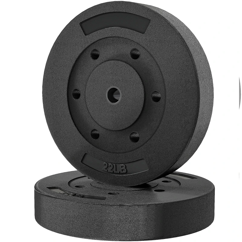 Soozier Weight Plates Set of 2, 1-Inch Barbell Weight Set for Home Gym Strength Training and Weightlifting, 2 x 22 lbs