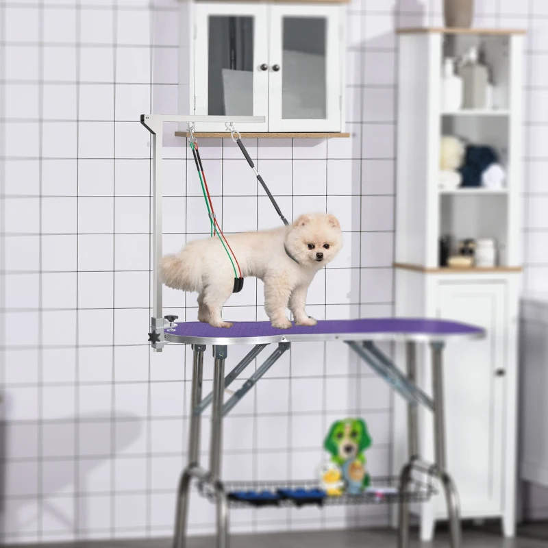 PawHut Adjustable Pet Grooming Arm, with Clamp, Haunch Holders & Grooming Loop - Sliver