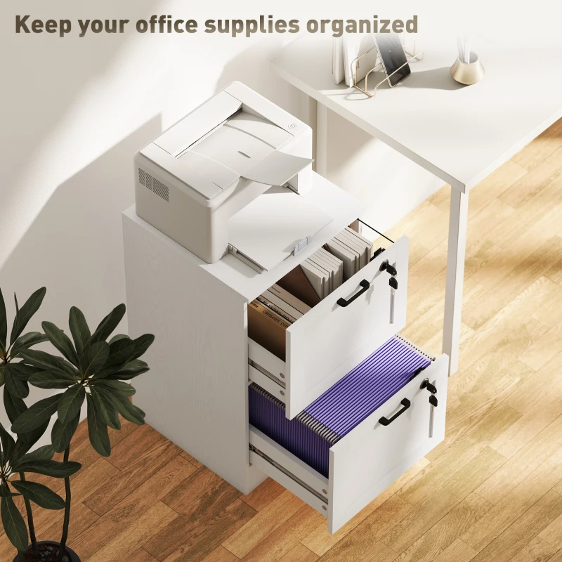 HOMCOM Vertical Filing Cabinet with 2 Drawers, Lock, File Cabinet for Home Office, A4 and Letter Size Files, White
