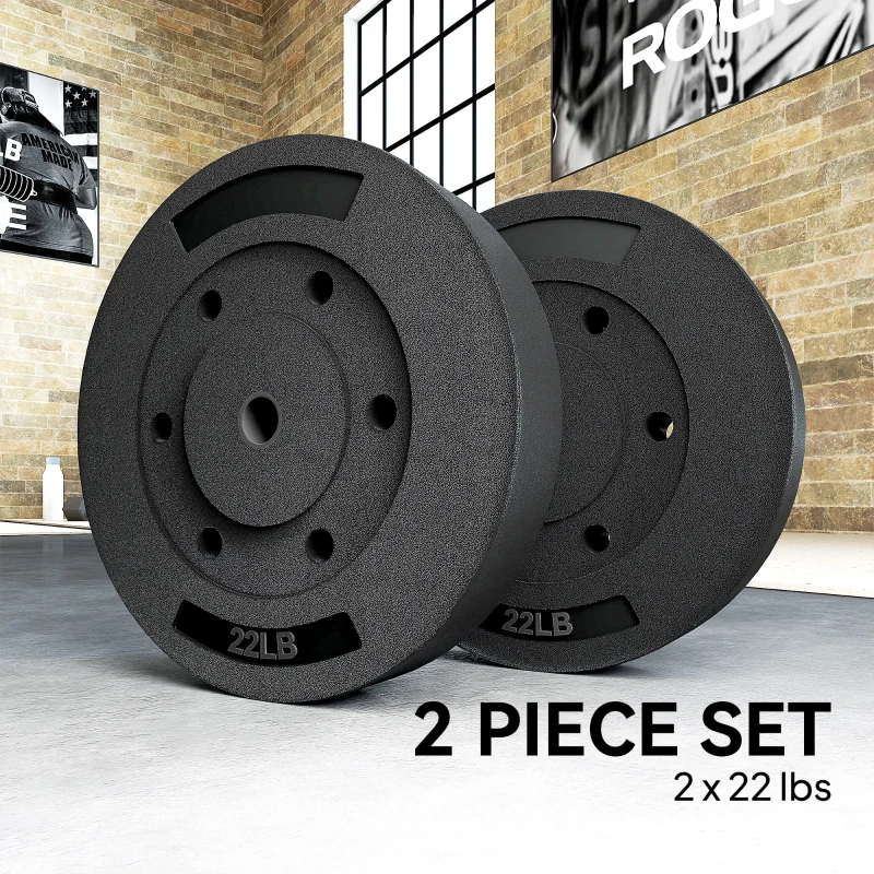 Soozier Weight Plates Set of 2, 1-Inch Barbell Weight Set for Home Gym Strength Training and Weightlifting, 2 x 22 lbs