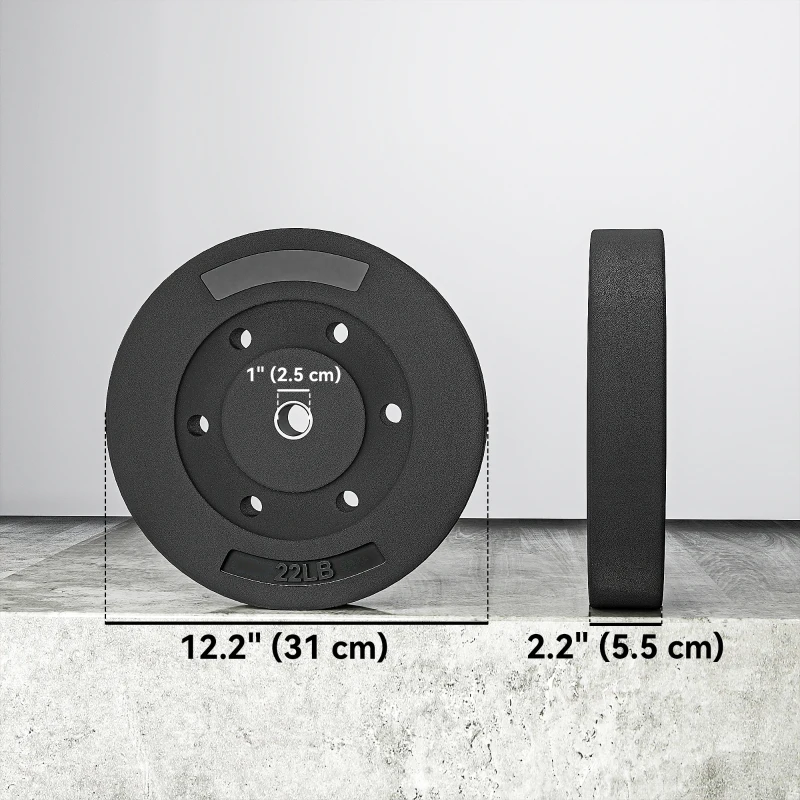 Soozier Weight Plates Set of 2, 1-Inch Barbell Weight Set for Home Gym Strength Training and Weightlifting, 2 x 22 lbs