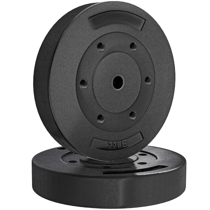 Soozier Weight Plates Set of 2, 1-Inch Barbell Weight Set for Home Gym Strength Training and Weightlifting, 2 x 22 lbs