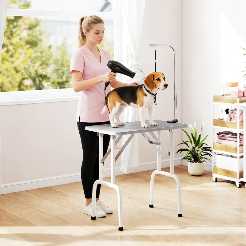 PawHut Foldable Pet Grooming Table for Dogs Cats with Adjustable Arm, Non-slip Surface, Grey