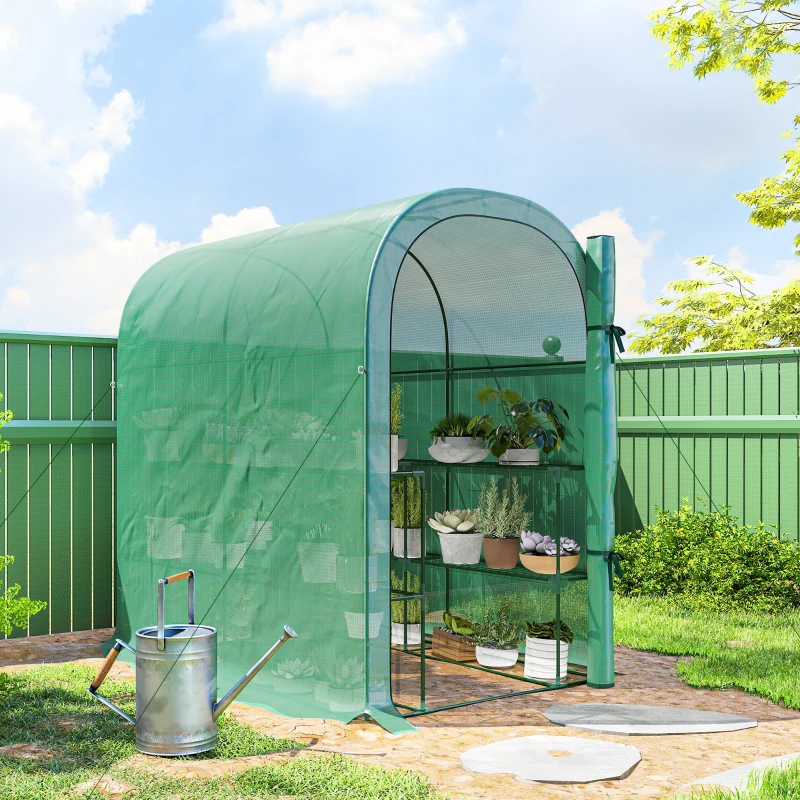 Outsunny Walk-in Mini Greenhouse with Shelves, Portable Outdoor Greenhouse with Roll-up Door, 123 x 187 x 189 cm, Green