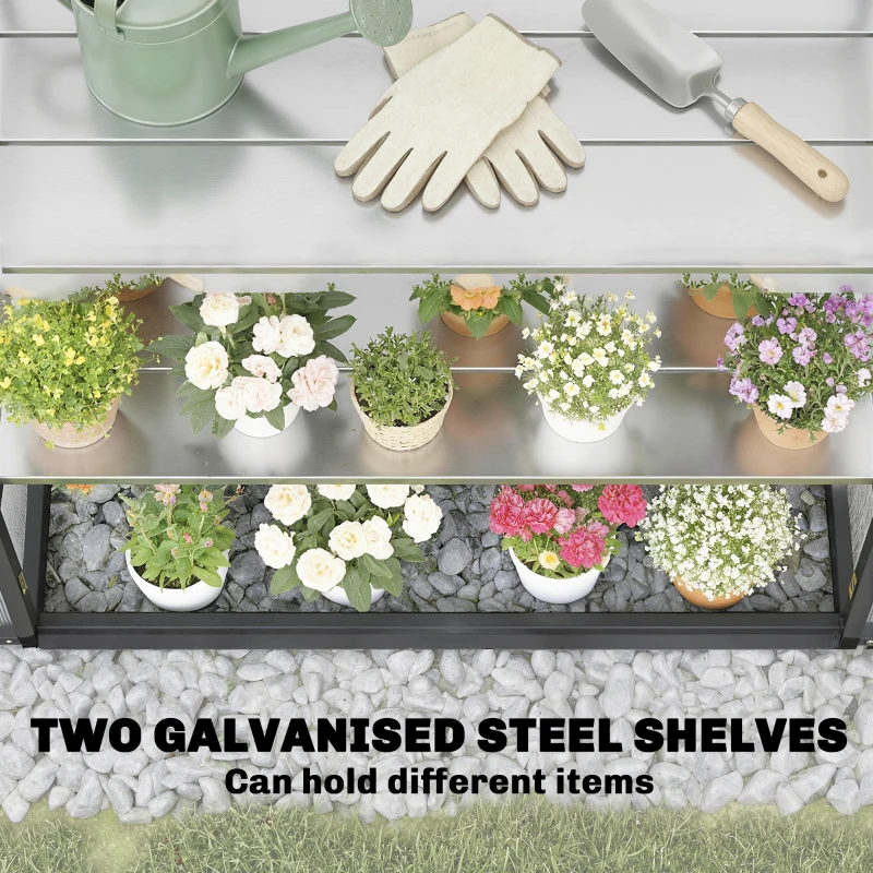 Outsunny Polycarbonate Greenhouse with 2-Tier Shelves Gardening Green House for Patio Garden, Black